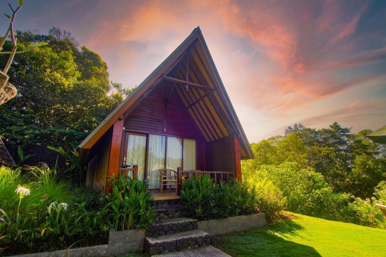 Guest house Bintang House *